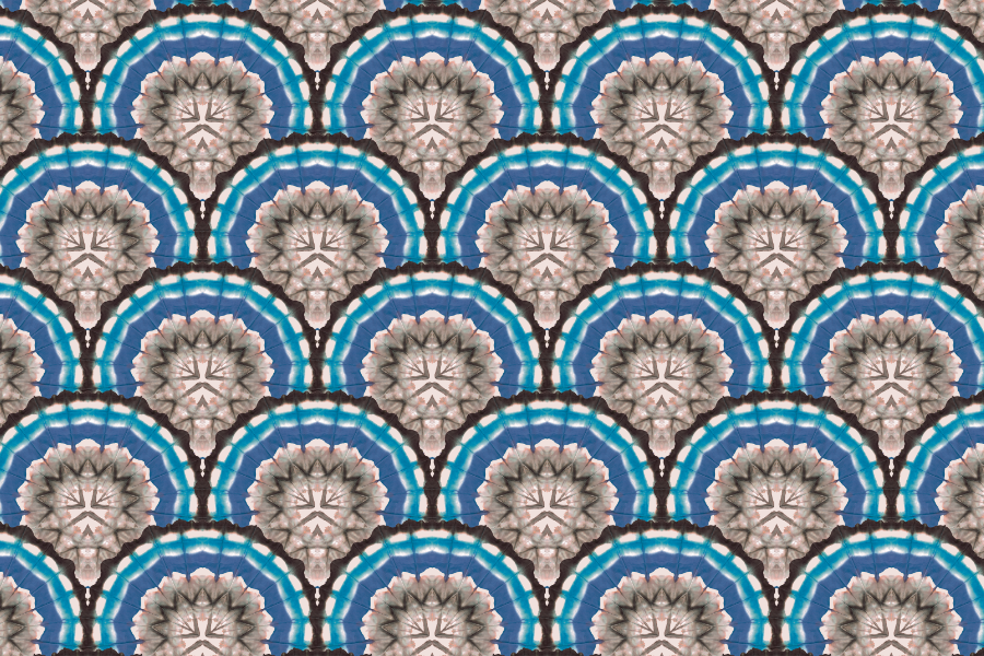 EAST fabric
