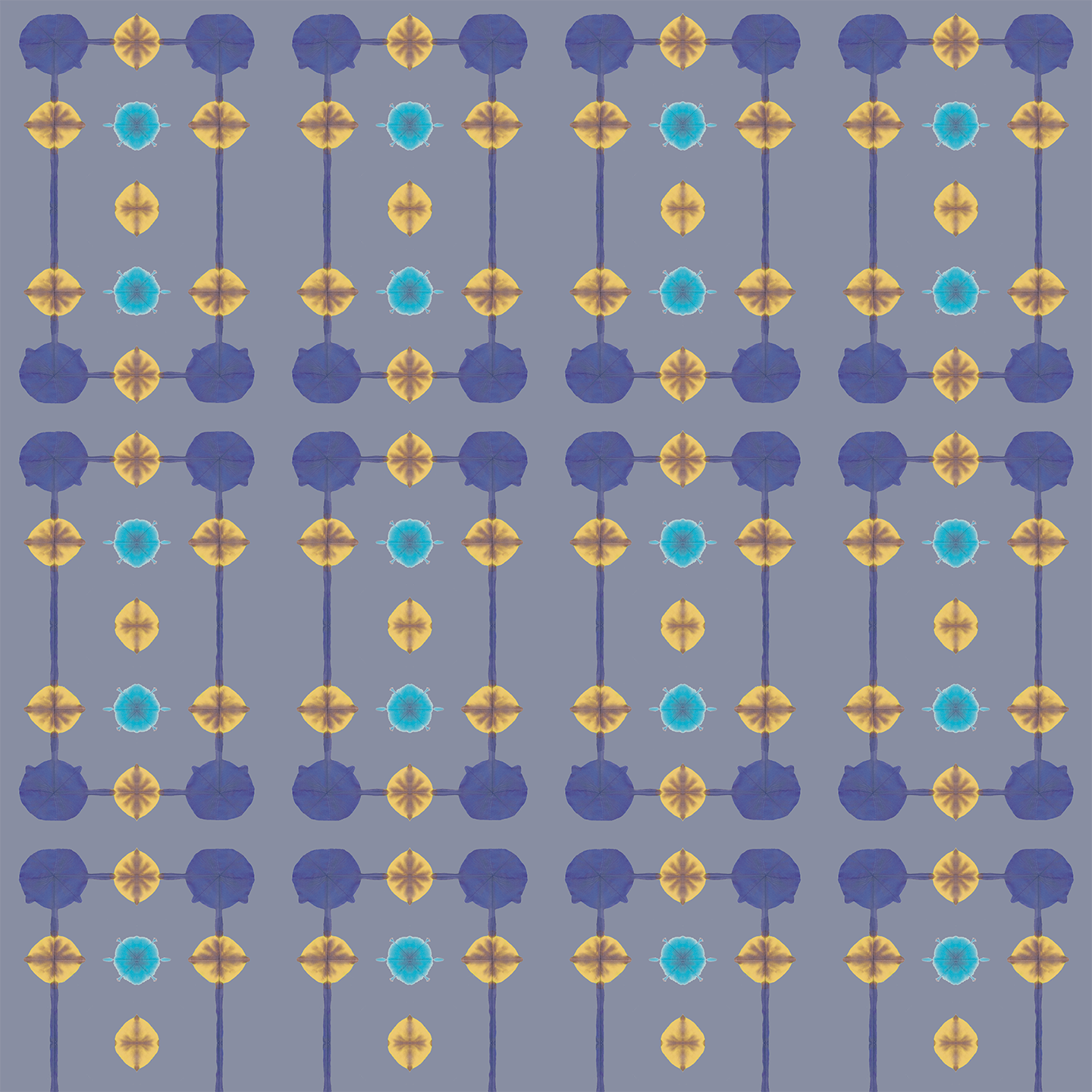 chez shea wallcovering maitai cobalt