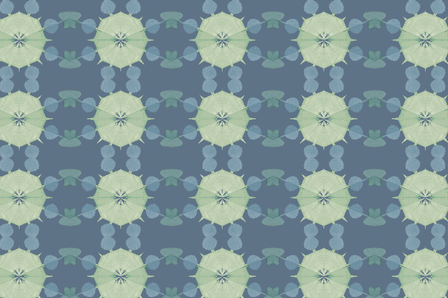 SAND DOLLAR fabric