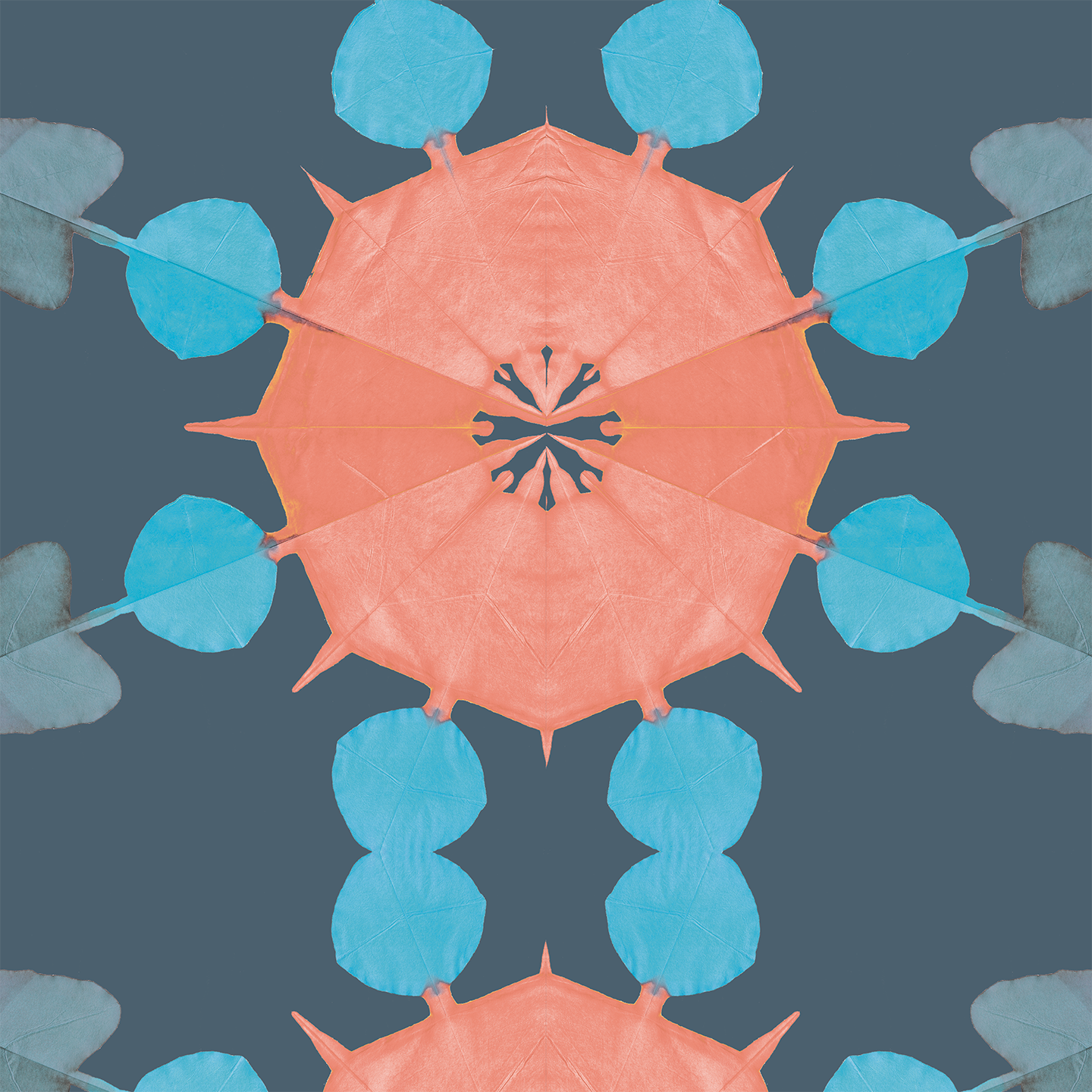 chez shea wallcovering sanddollar slate