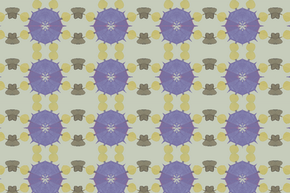 SAND DOLLAR fabric